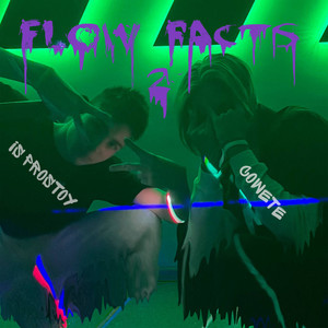 Flow Facts 2 (Explicit)