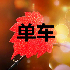 那些快乐被你扔在了角落