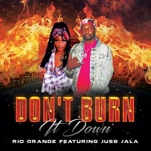 Don't Burn it Down (feat. Juss Jala) [Explicit]