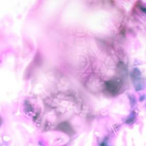 Supposed to do (feat. iwurstt) (Explicit)