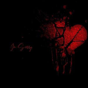 I'm Sorry(feat. Skylar Sanchez)