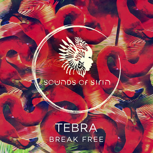Break Free (Original Mix)