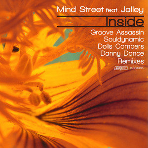 Inside (Friendly Remix)
