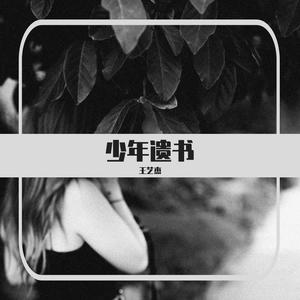 少年遗书
