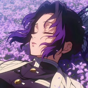 《紫の蝶》-记蝴蝶忍于无限城血战