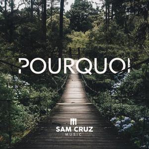 Pourquoi (Explicit)
