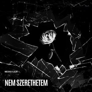 Nem szerethetem (feat. LilBT)