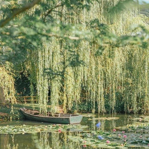 BROKEN DANCE (Explicit)