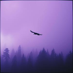 Raven Girl (Remix)