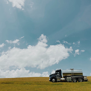 Too Weighed Down To Fly