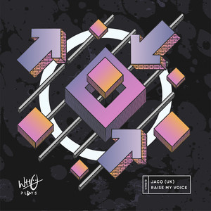 Raise My Voice (Original Mix)