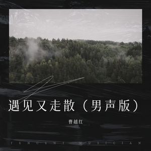 遇见又走散 (男声新版)