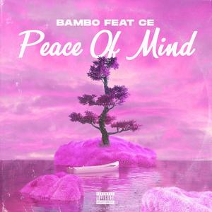 Peace of Mind (feat. CE) [Explicit]