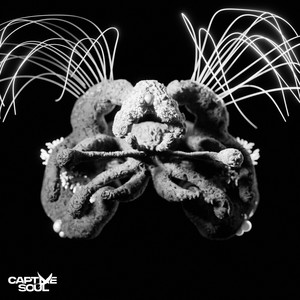 Motive (Extended Mix)