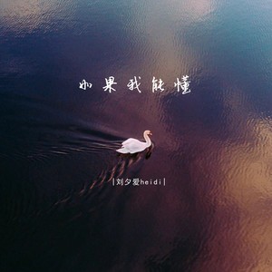 如果我能懂 (伴奏)