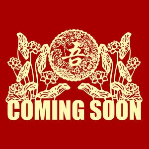 中国功夫