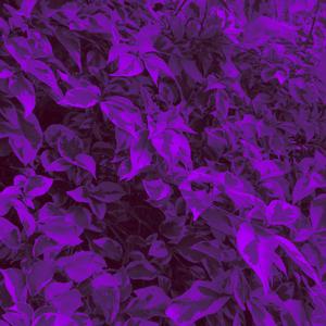 float. (feat. Natalie Winsall)