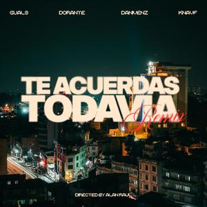 Te Acuerdas Todavia (feat. Dani Venz) (Remix)