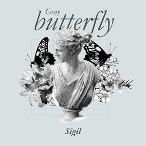 Gray Butterfly