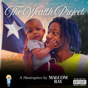 The Wealth Project (Explicit)