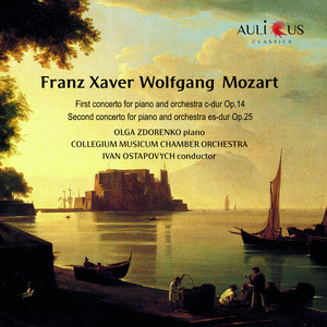 Piano Concerto No. 1 in C Major, Op. 14 - I. Allegro Maestoso