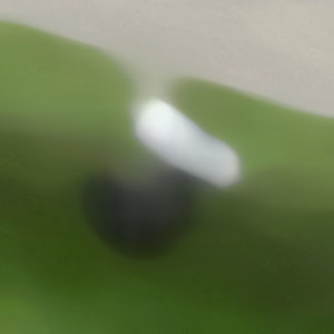 ingredients of the interior