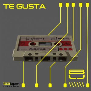 Te Gusta (VIP)