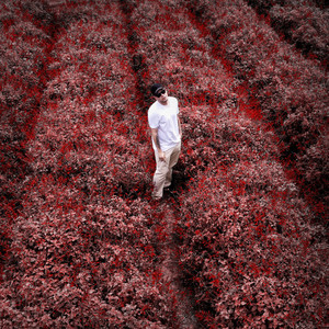 Desamor & Desejo (Explicit)