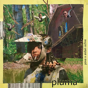 Pluma (feat. Aidan Ochre) (Explicit)