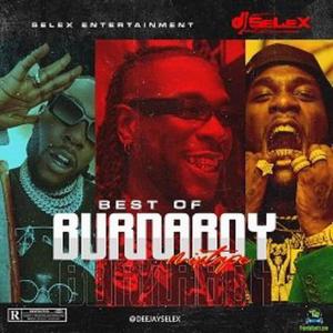 Best Of Burna Boy (Explicit)