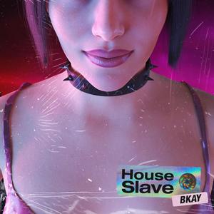 House Slave