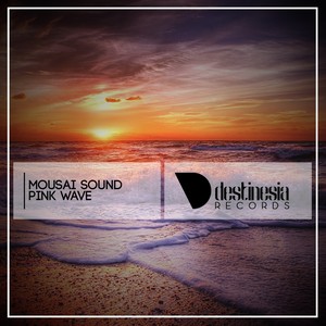 Pink Wave (Original Mix)