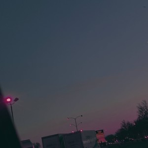 Zooted Up (Explicit)