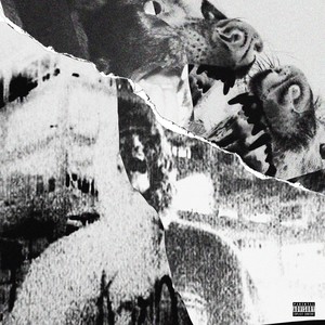 SUICIDE FOREST (Explicit)