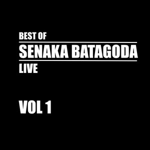 Best of Senaka Batagoda Vol. 1 (Live)