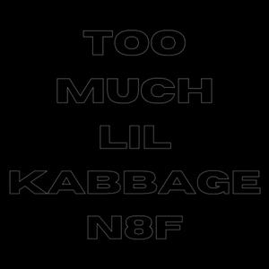 TOO MUCH (feat. N8F)