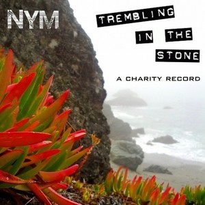 Trembling in the Stone - a charity record