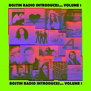 Bostin Radio Introduces, Vol. 1