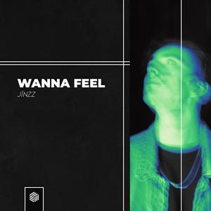Wanna Feel (Extended Version)