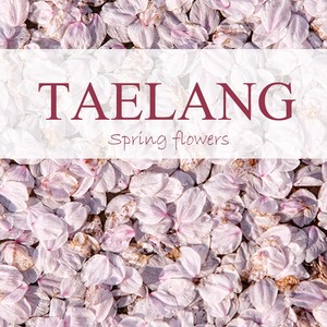 봄꽃 (spring flowers)