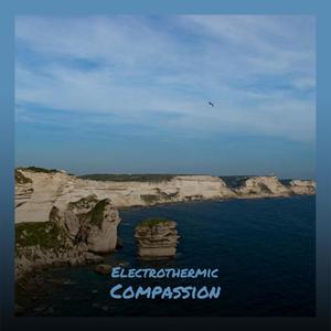 Electrothermic Compassion