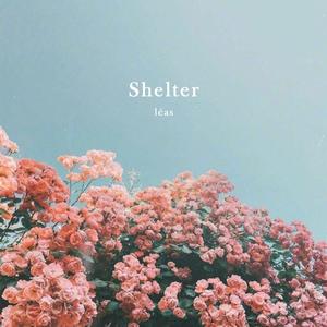 Shelter