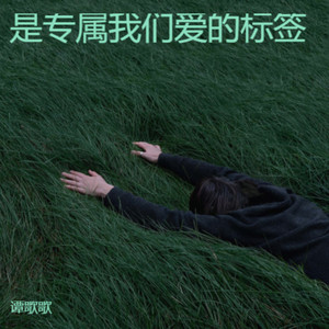 谭歌歌 - 青花瓷滕王阁