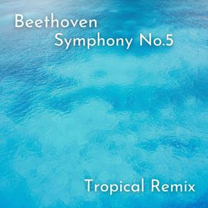 Beethoven Symphony No.5 (Tropical House Remix)