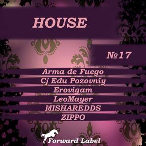 House N.17