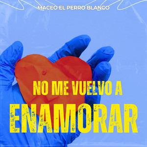 no me vuelvo a enamorar