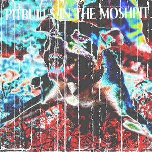 Pitbulls in the Moshpit (Explicit)