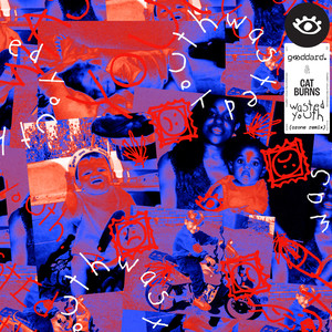 Wasted Youth (feat. Cat Burns) (ozone Remix)