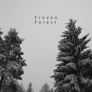 Frozen Forest