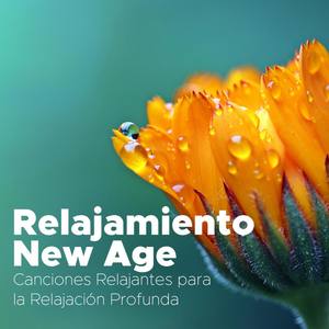 Relajamiento New Age - Canciones Relajantes para la Relajación Profunda